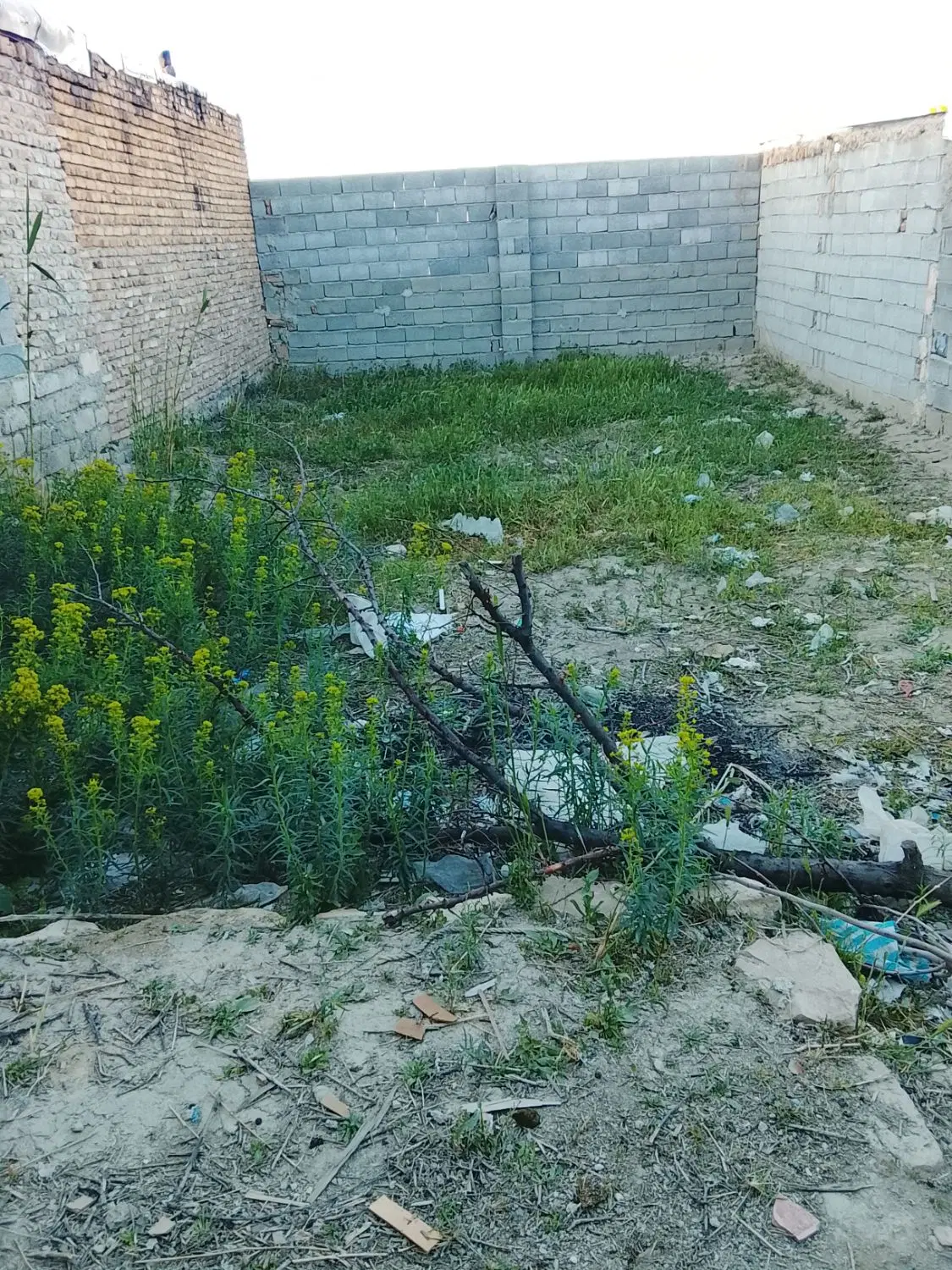 زمین رشادت 180 ملیون