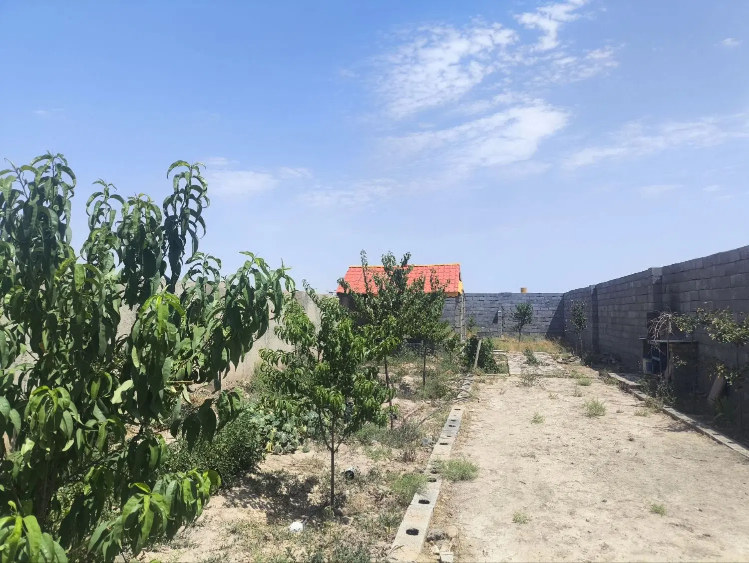 باغ یا باغچه ای نقلی ..400متری