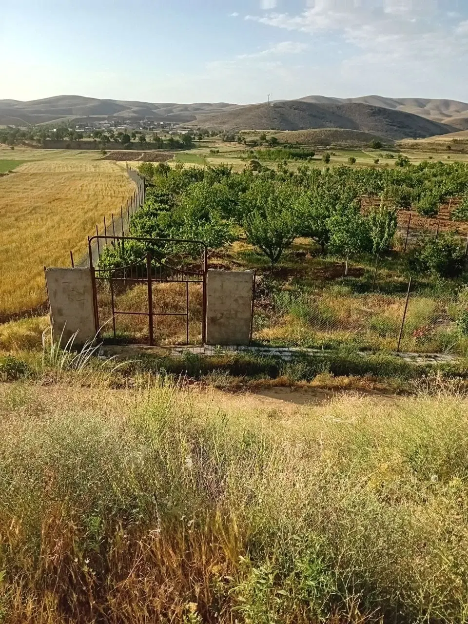 فروش باغ ۲ هزار متری روستای خمه علیا