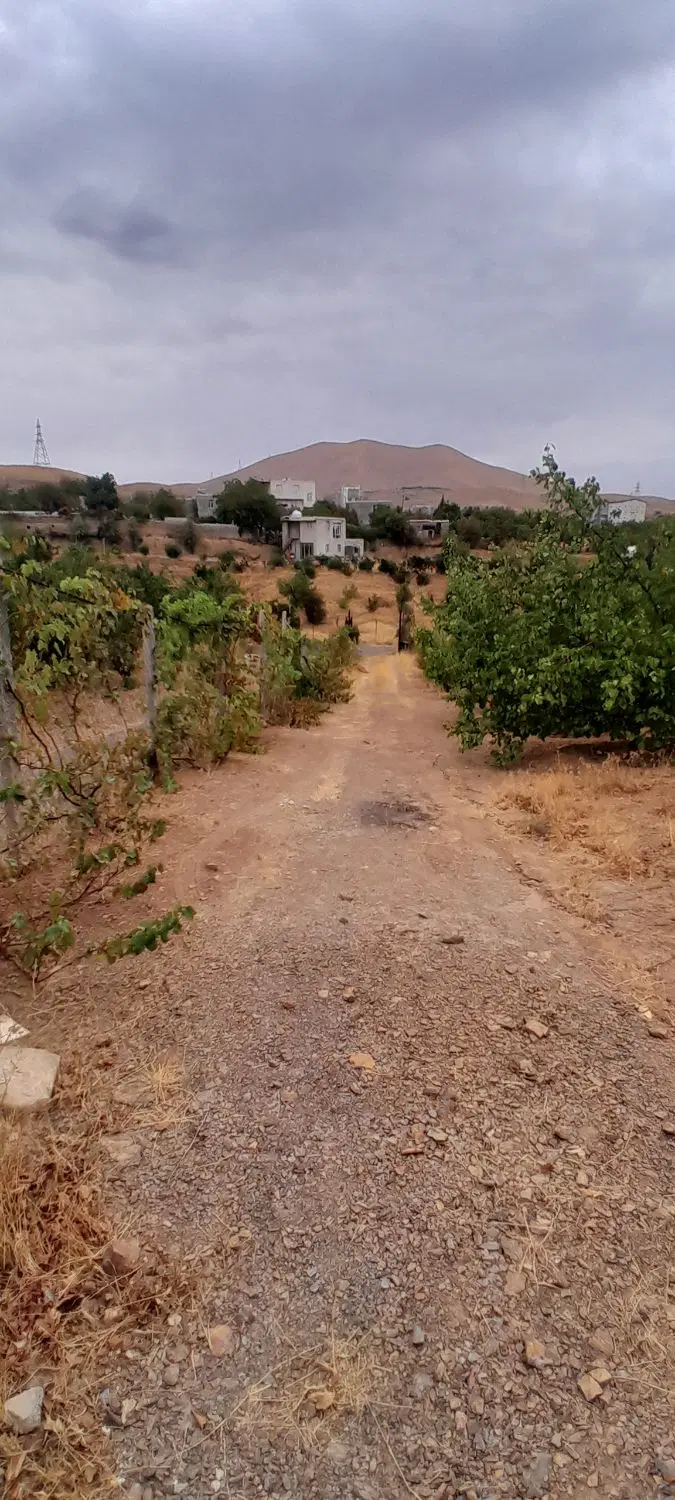 باغ
