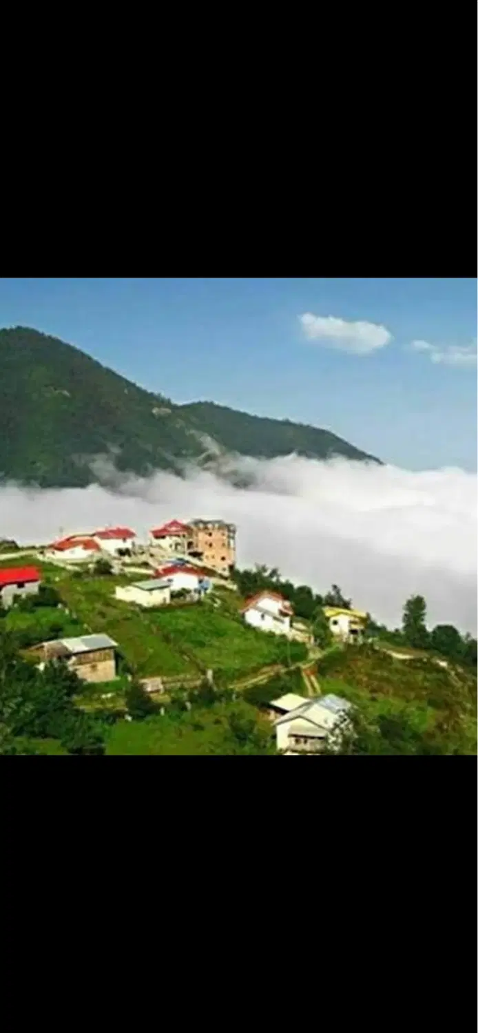 زمین