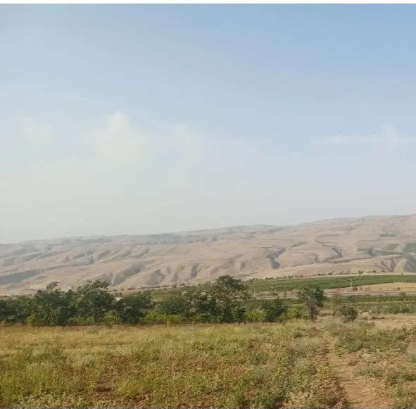 فروش خالصه