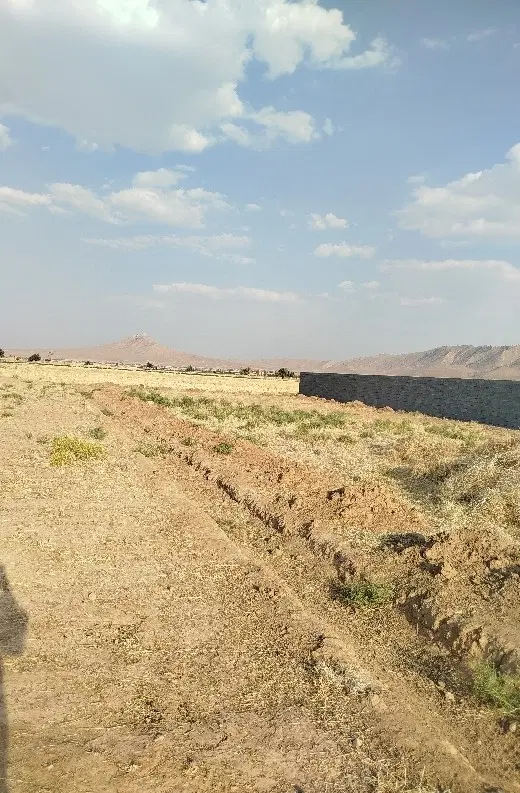 باغات فاتحی خالد آباد