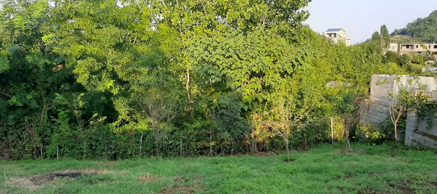 زمین مسکونی