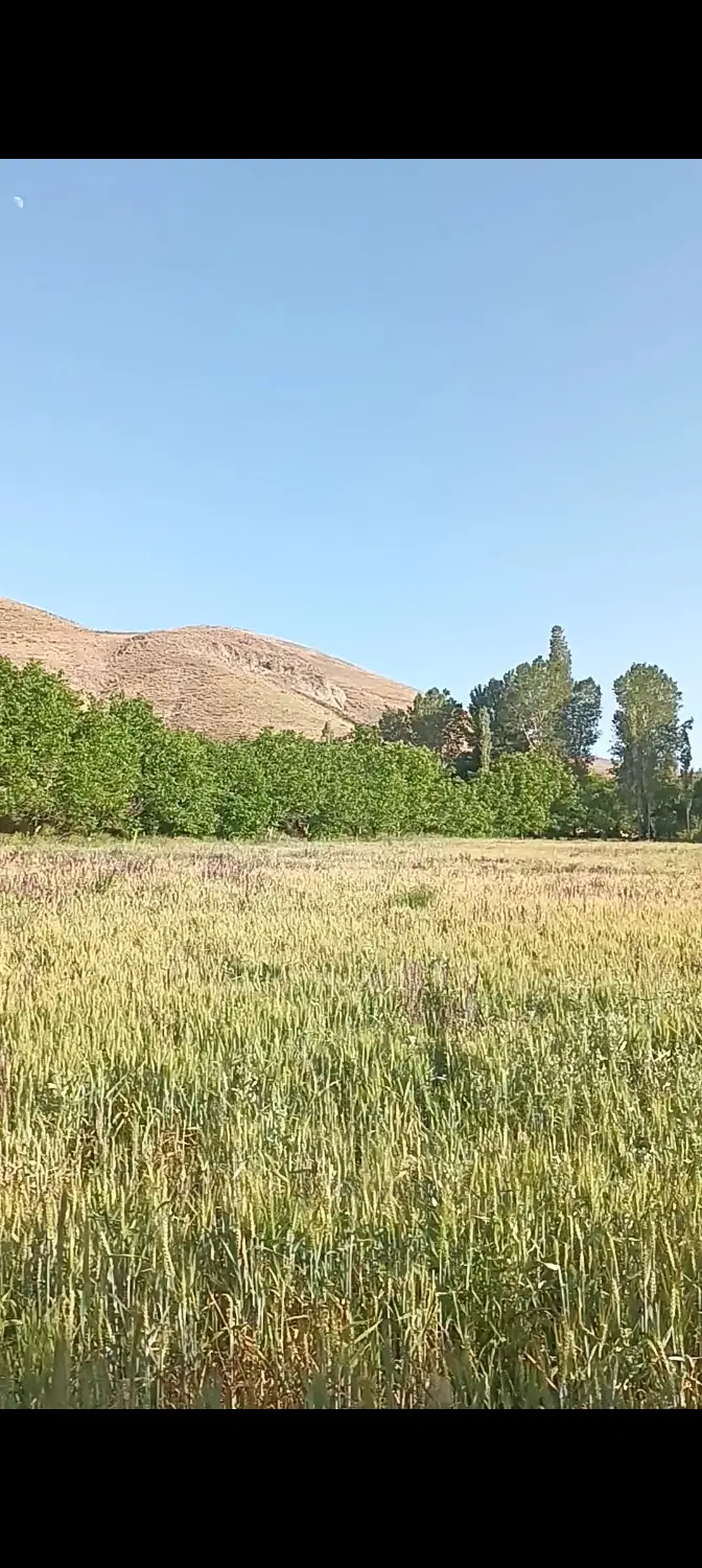 خانه باغ ۱۰ هکتاری