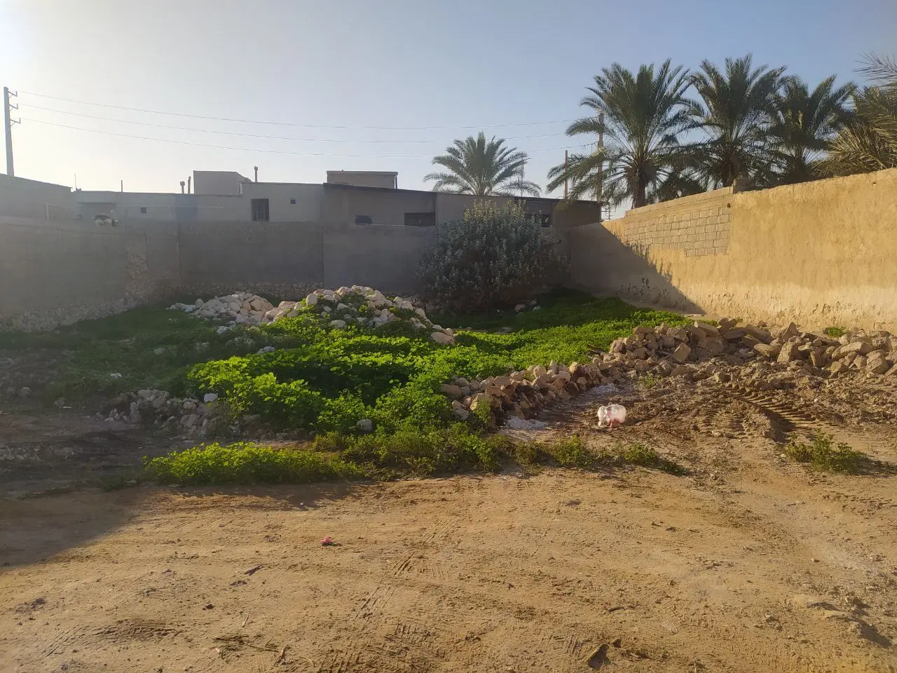 فروش زمین کاکی ریگدان