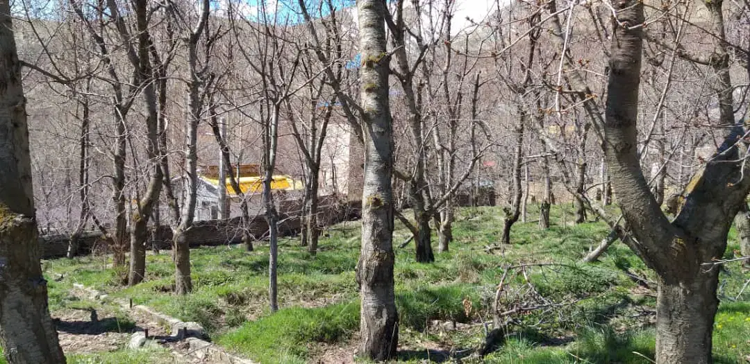 مزایده زمین ویلایی فشم امامه