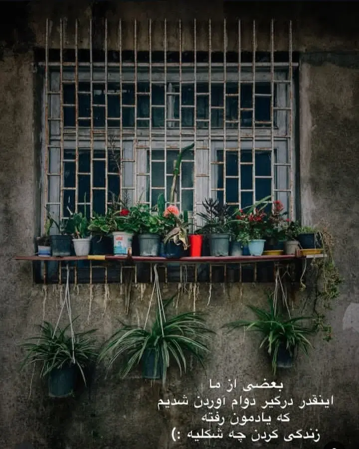 رهن یا اجاره...هم خونه آقا
