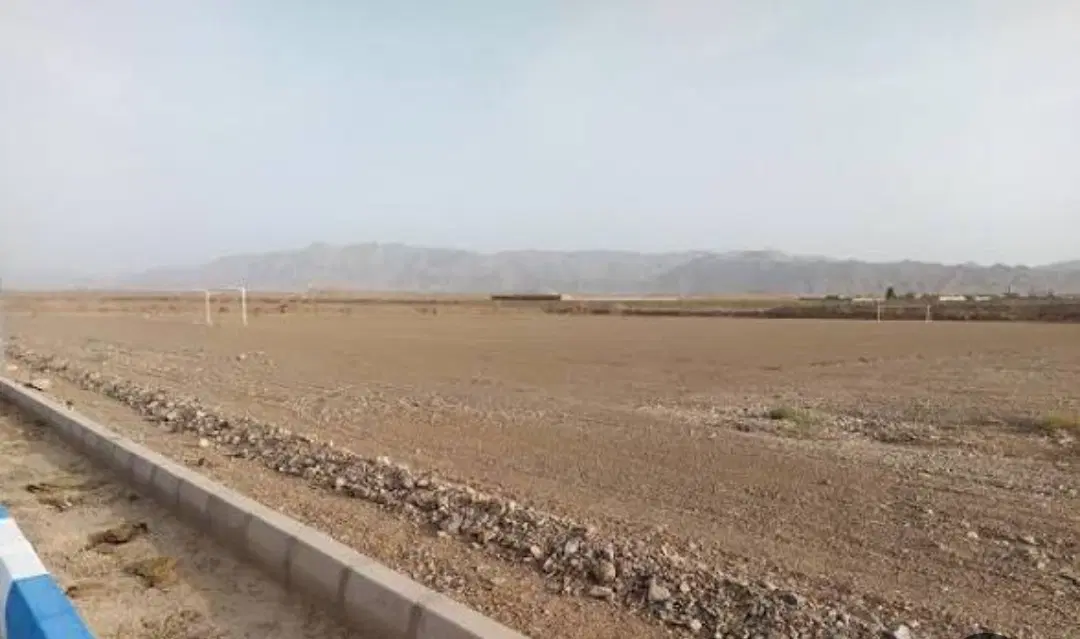زمین دامپزشکی