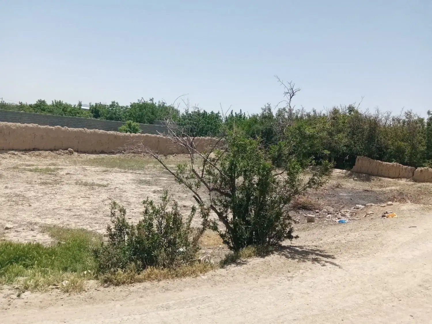 فروش یک قطعه زمین در روستای نهضت اباد