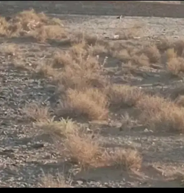 زمین جهاد