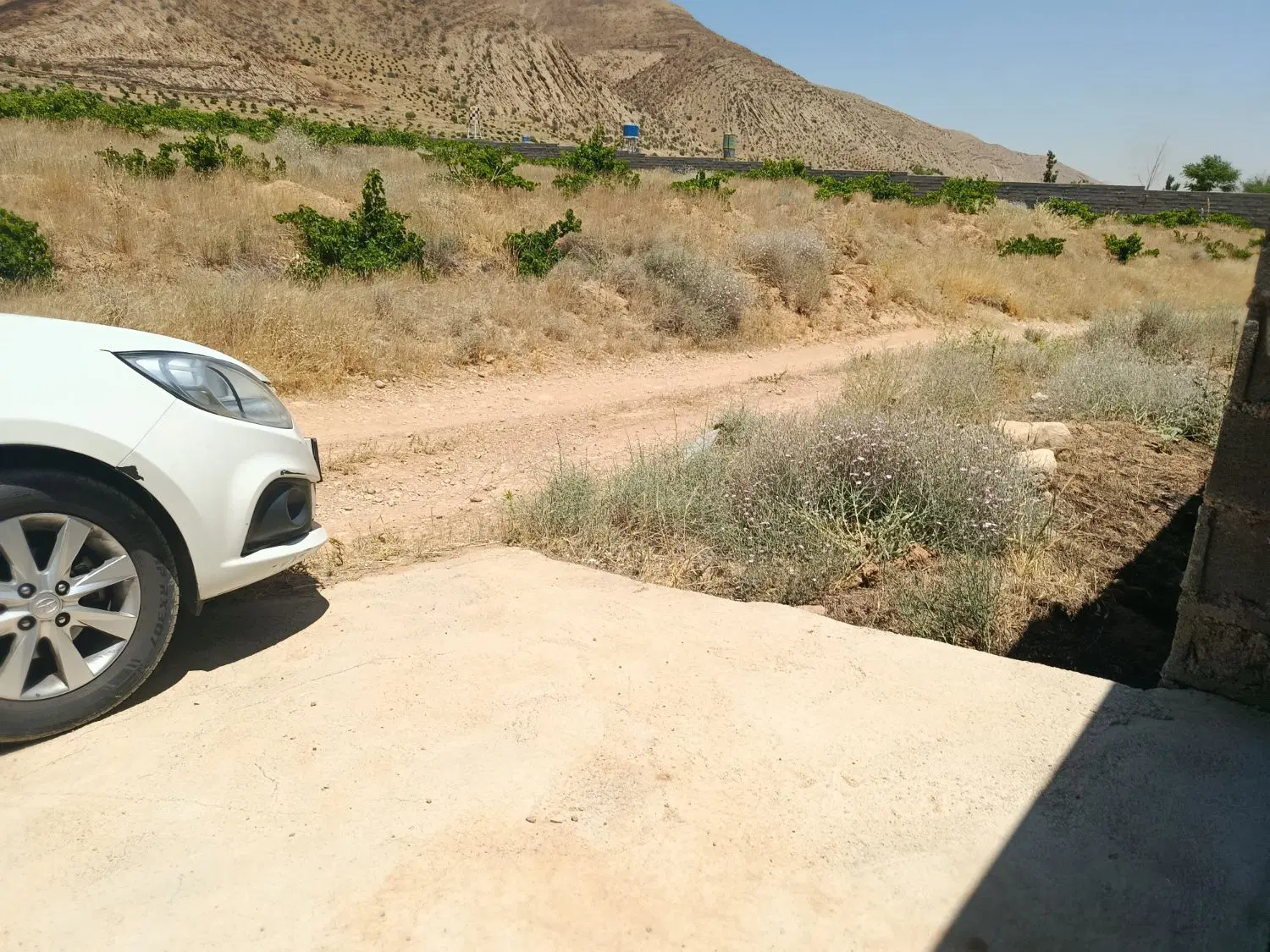 فروش باغ کلستان