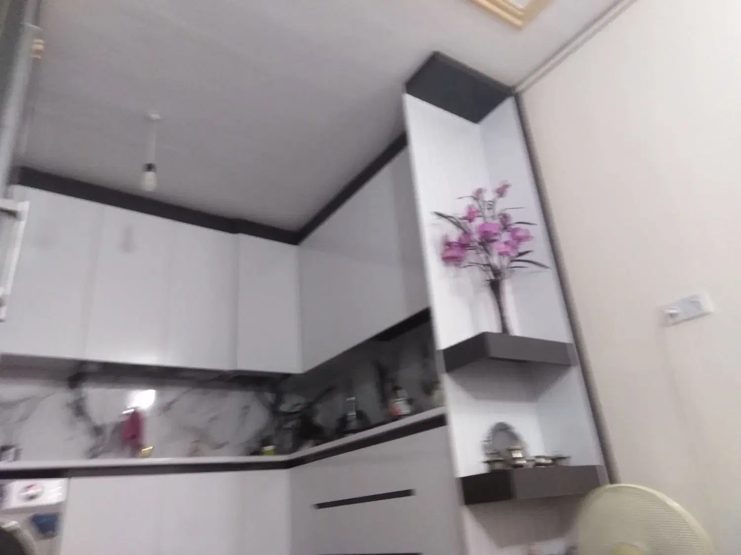 همخونه