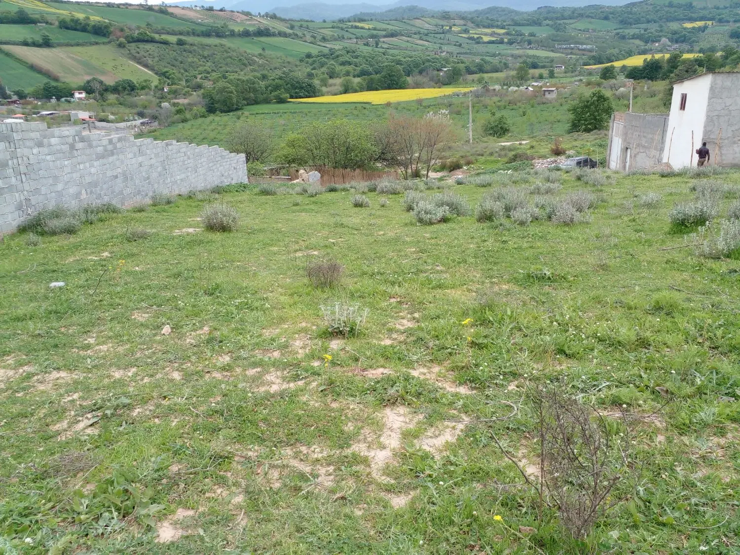 زمین فروشی