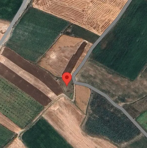 زمین کشاورزی