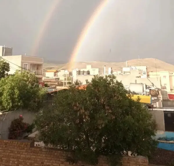 هم خانه