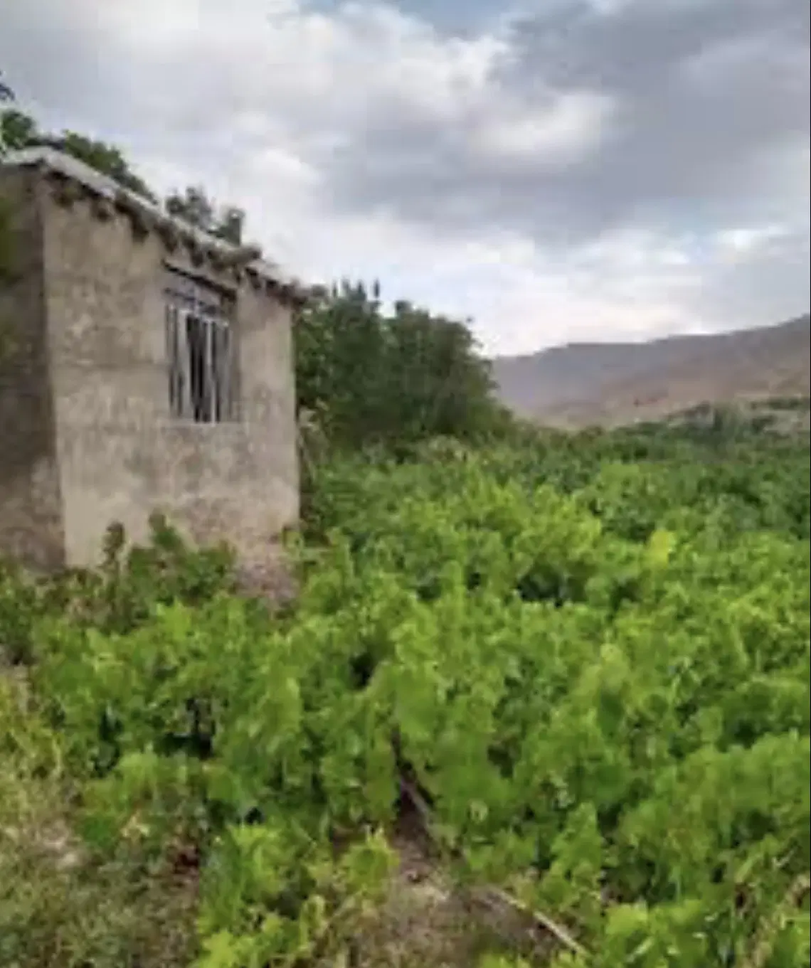 باغ دیوارکشی شده با مجوز  جاده سنندج گلستان چهارم