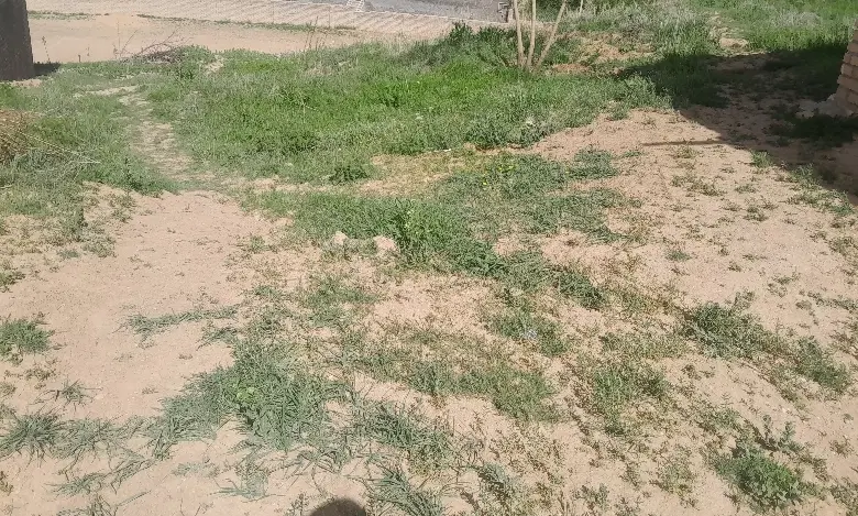 فروش زمین