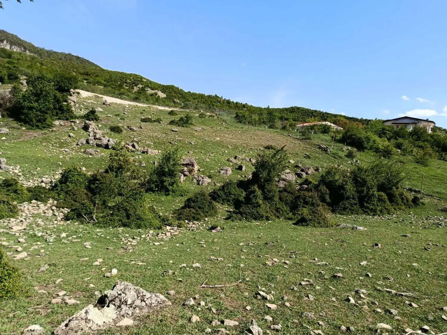 کجور_لشکنار_۷۱۳ متر