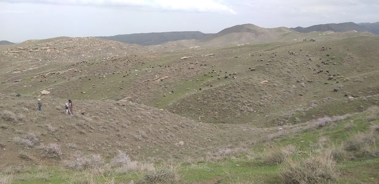 زمین مسکونی