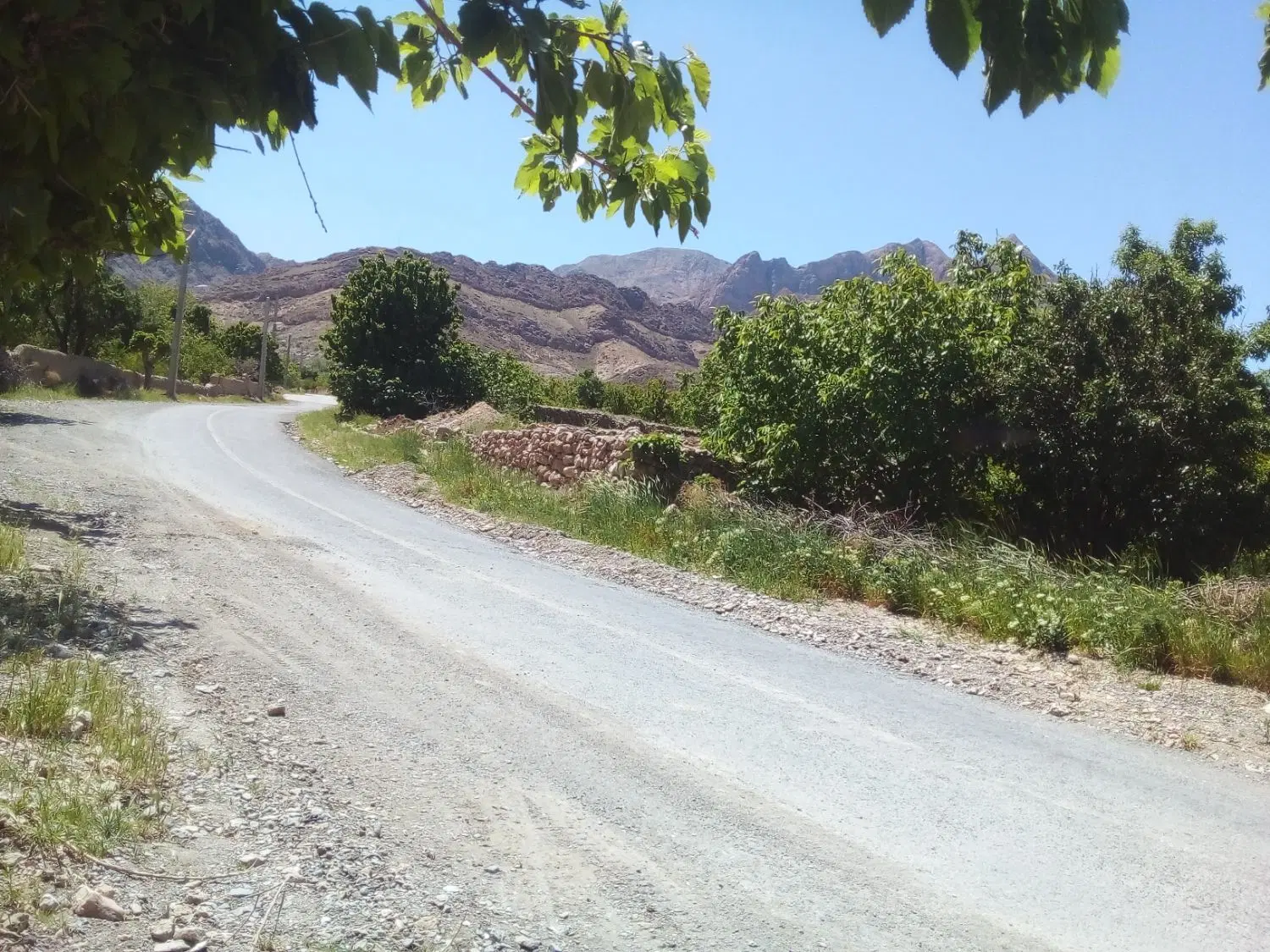 زمین مسکونی در روستای فارسیان