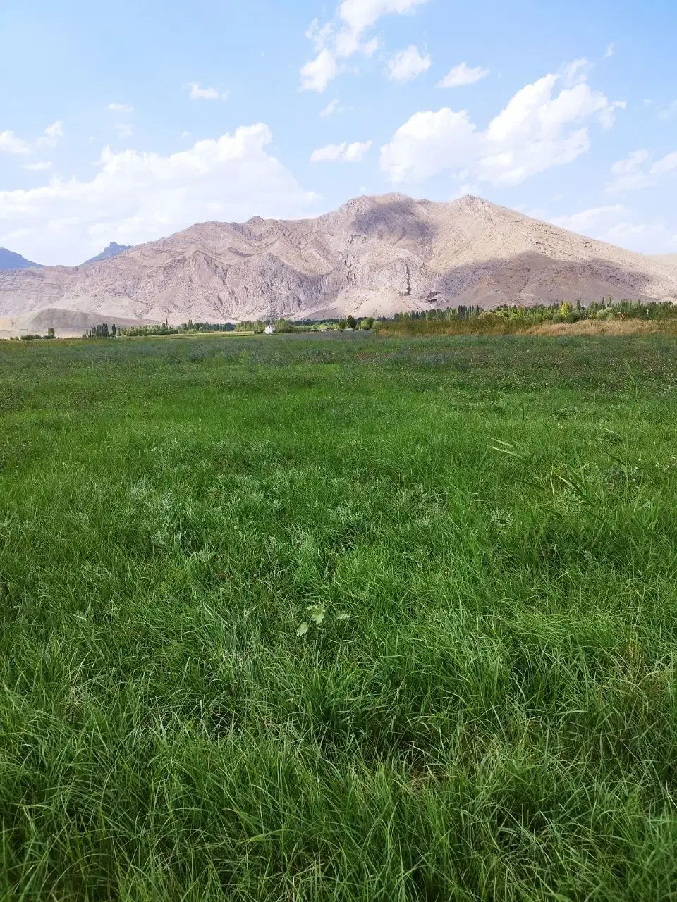 زمین کشاورزی مناسب باغ و ویلا گجوت