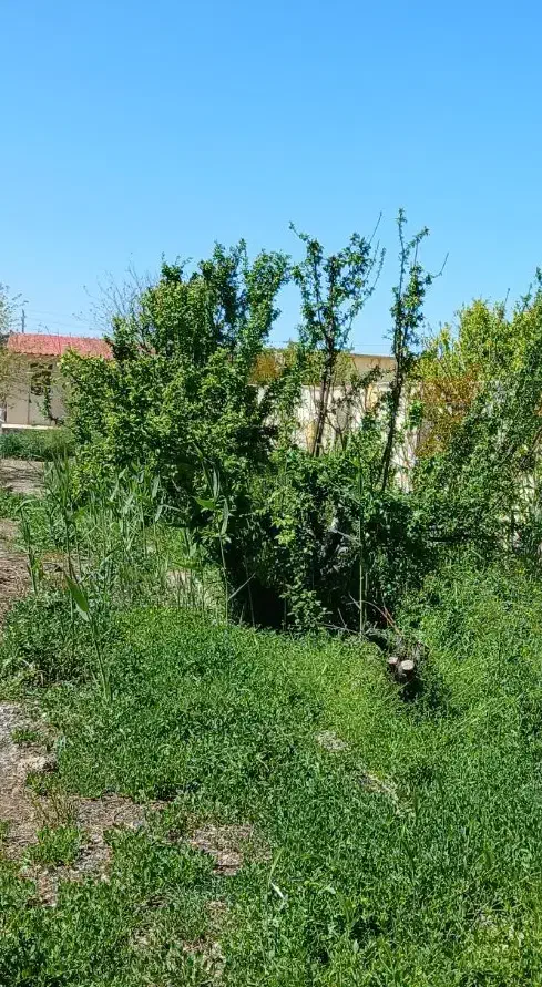 باغچه ۴۰۰ متری