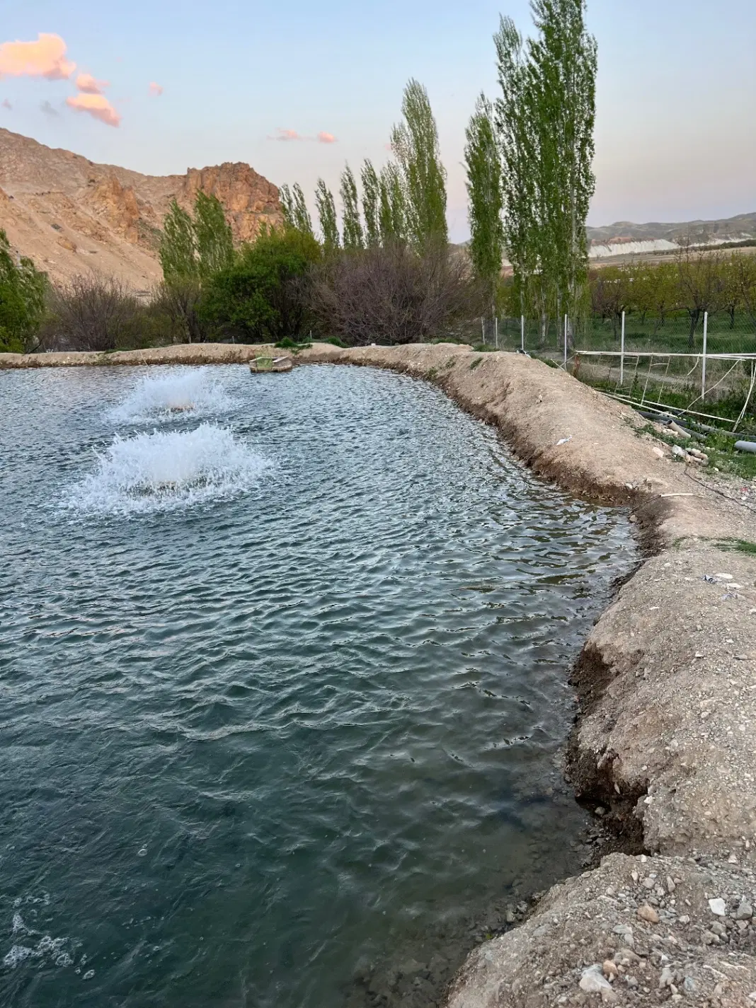 چهار دیواری