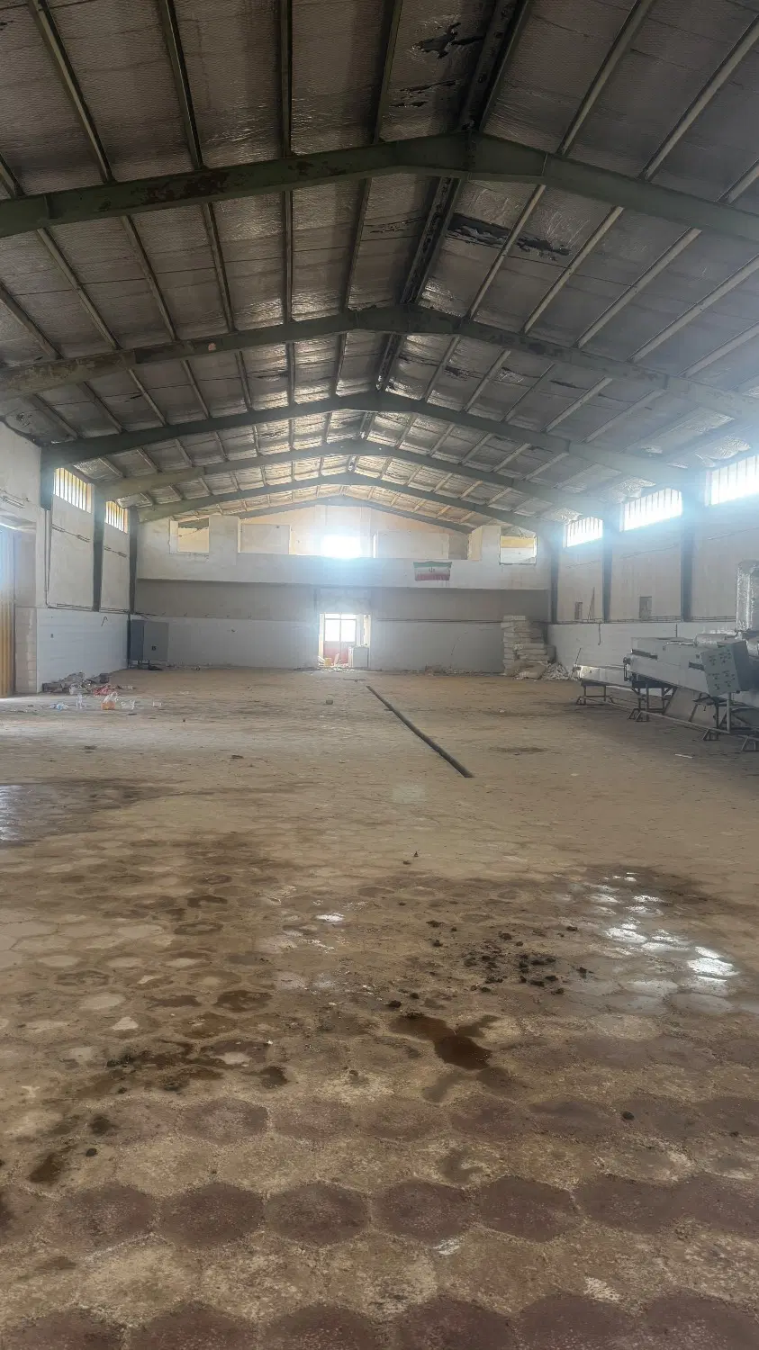 فروش کارخانه بسته بندی رطب  و خرما در بوشهر