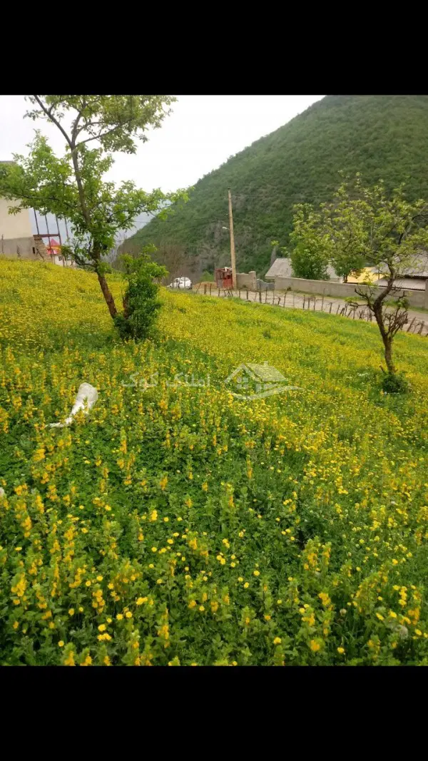 زمین در فیروز آباد کجور