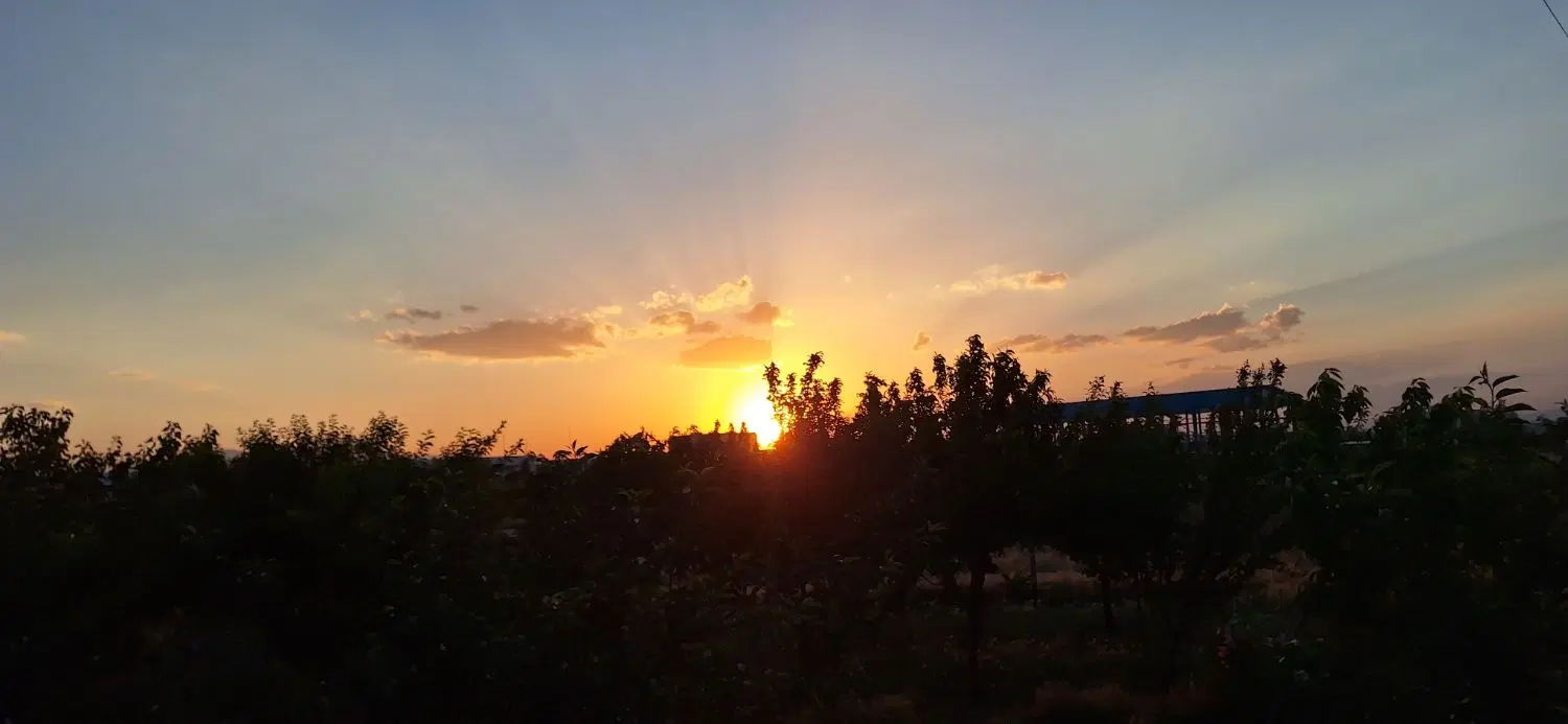 زمین باغی  سند دار