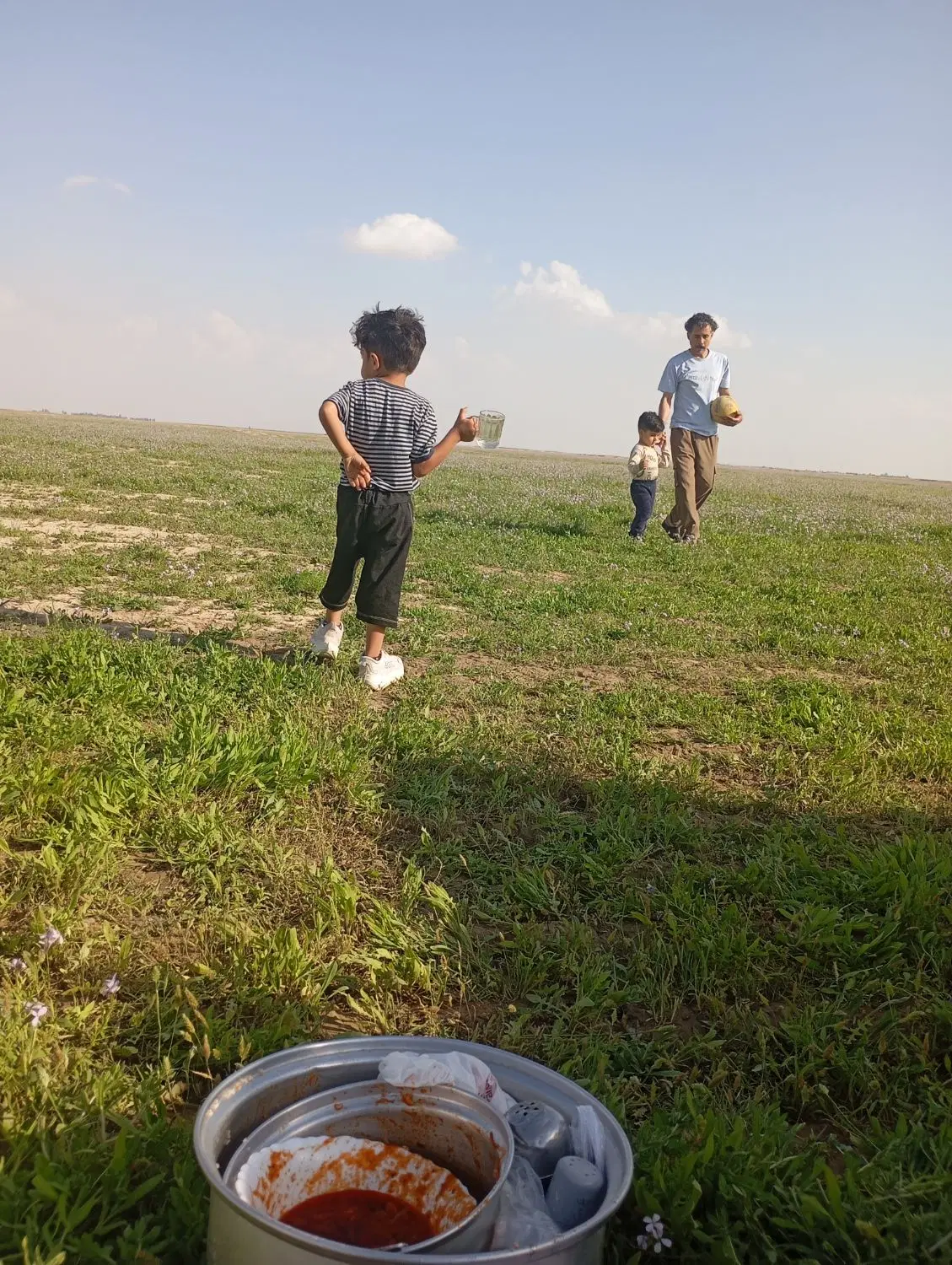 زمین باغ شهری