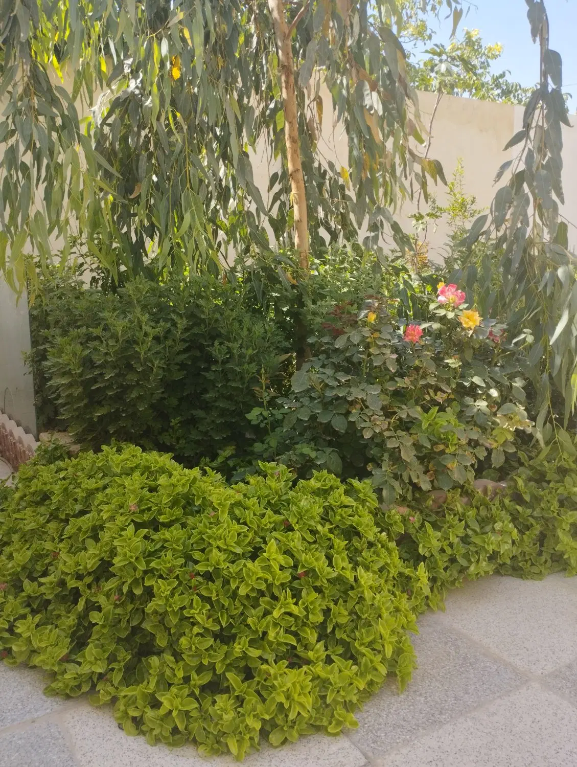 فروش منزل ویلایی