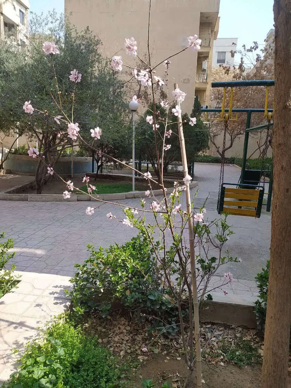 خیابان ولیعصر منیریه فول شیک