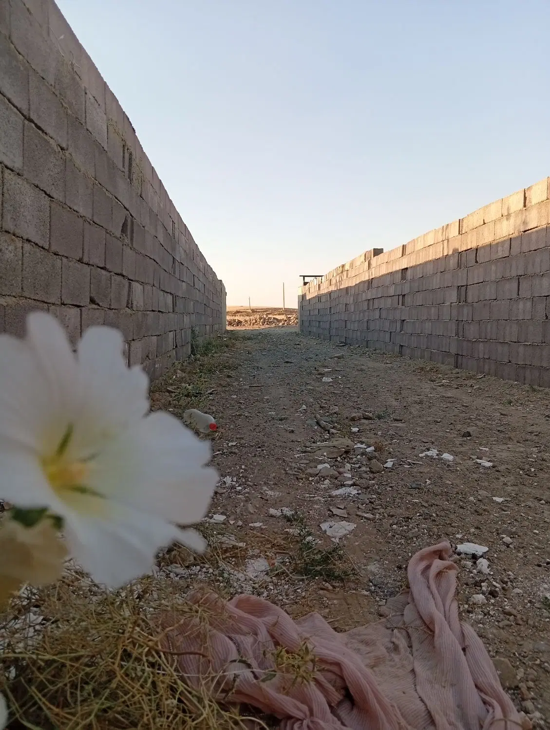 زمین واقع در باغات شورین