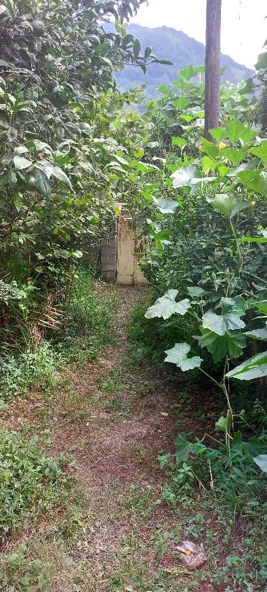 خانه ویلایی بتنی - سنتی سند تکبرگ