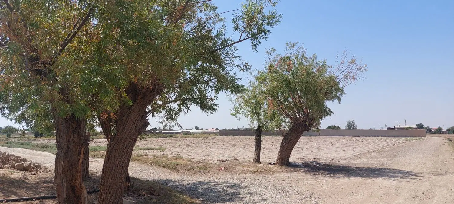 فروش زمین