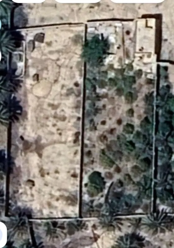 زمین