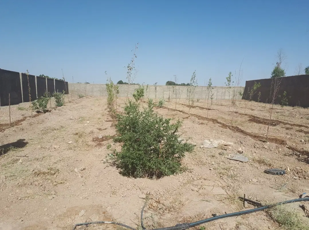 ۶۰۰متر زمین داخل چهار دیواری