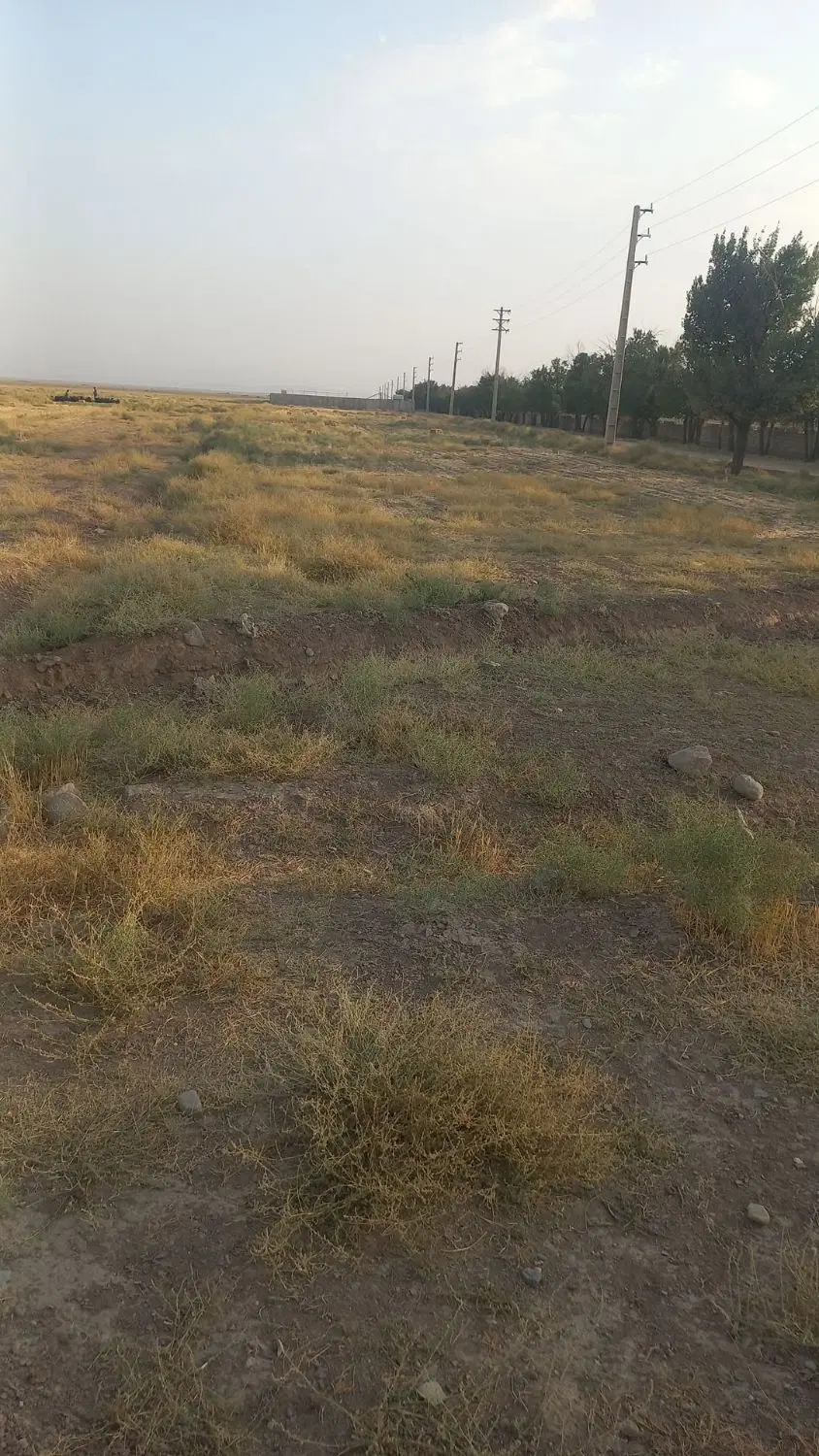 فروش زمین کشاورزی  مناسب باغچه وگلخانه وسوله