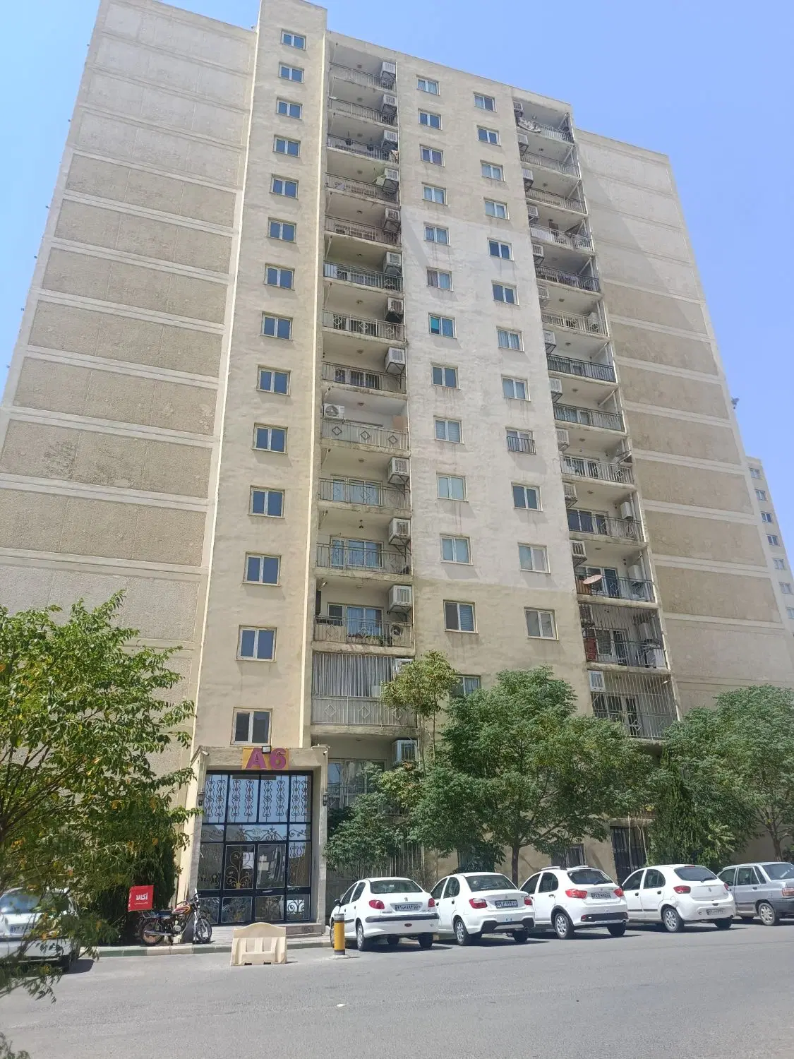کوزو 6 تک خواب