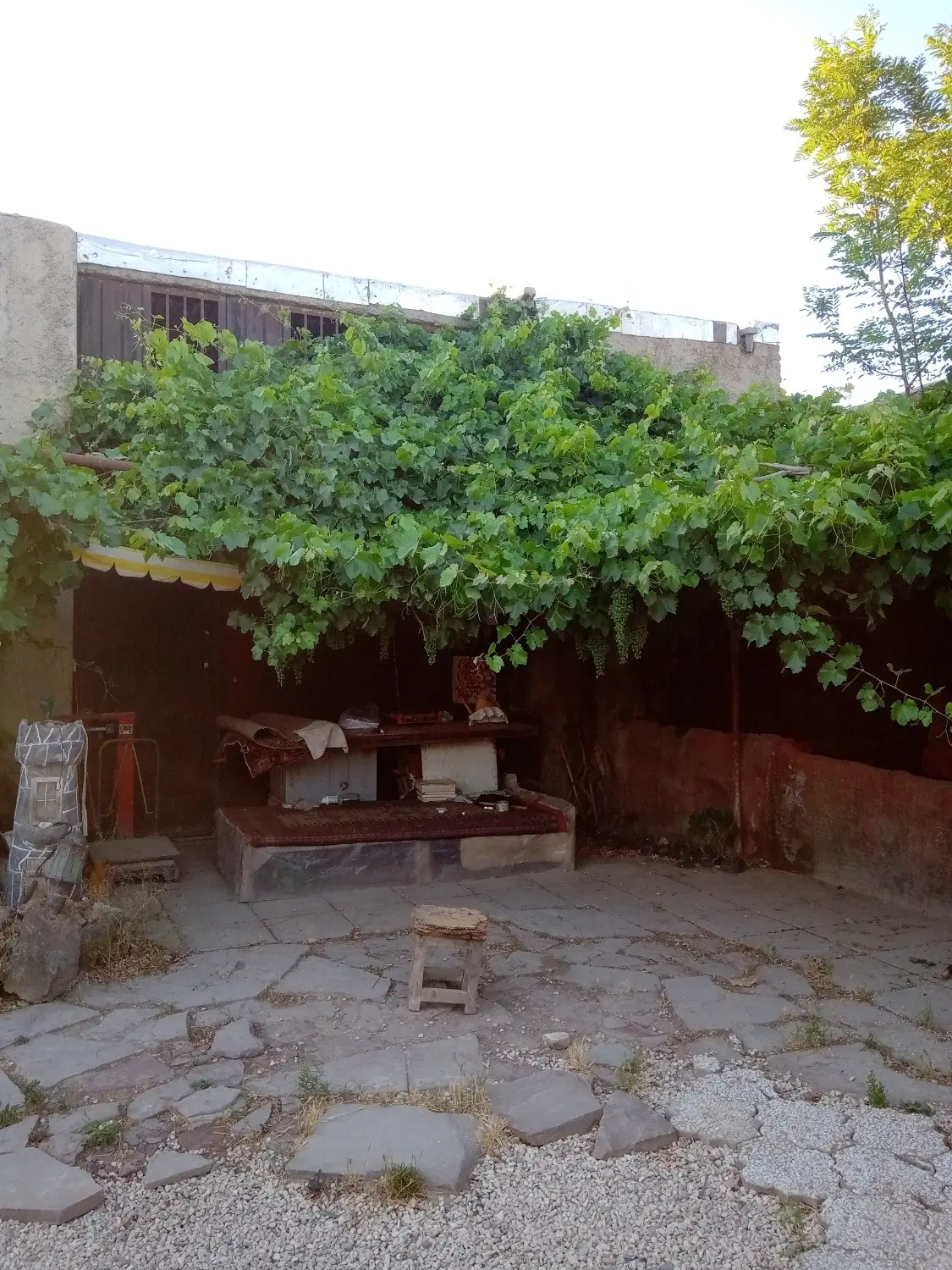 باغ در چهار باغ کرج