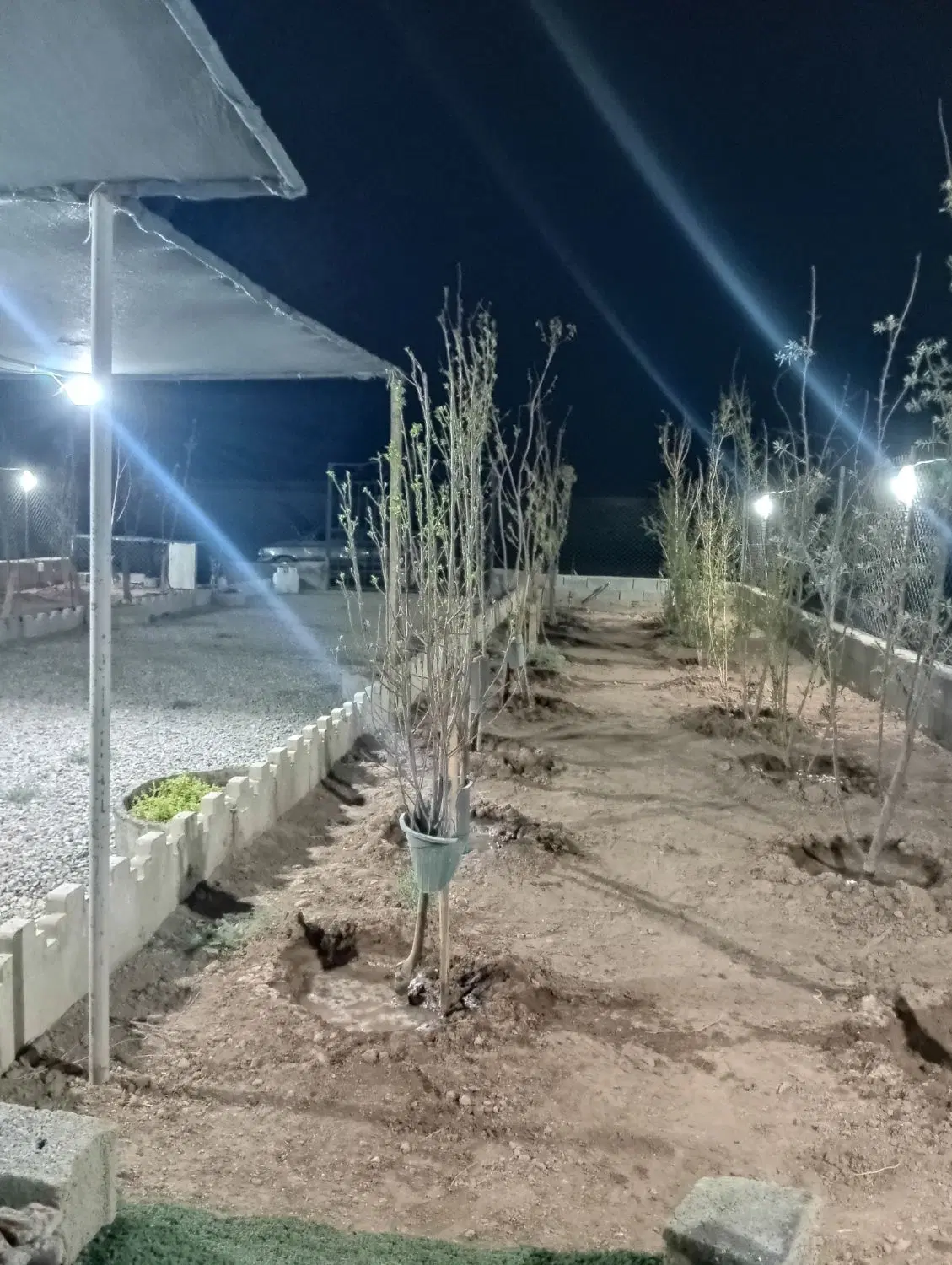 باغچه 275متری