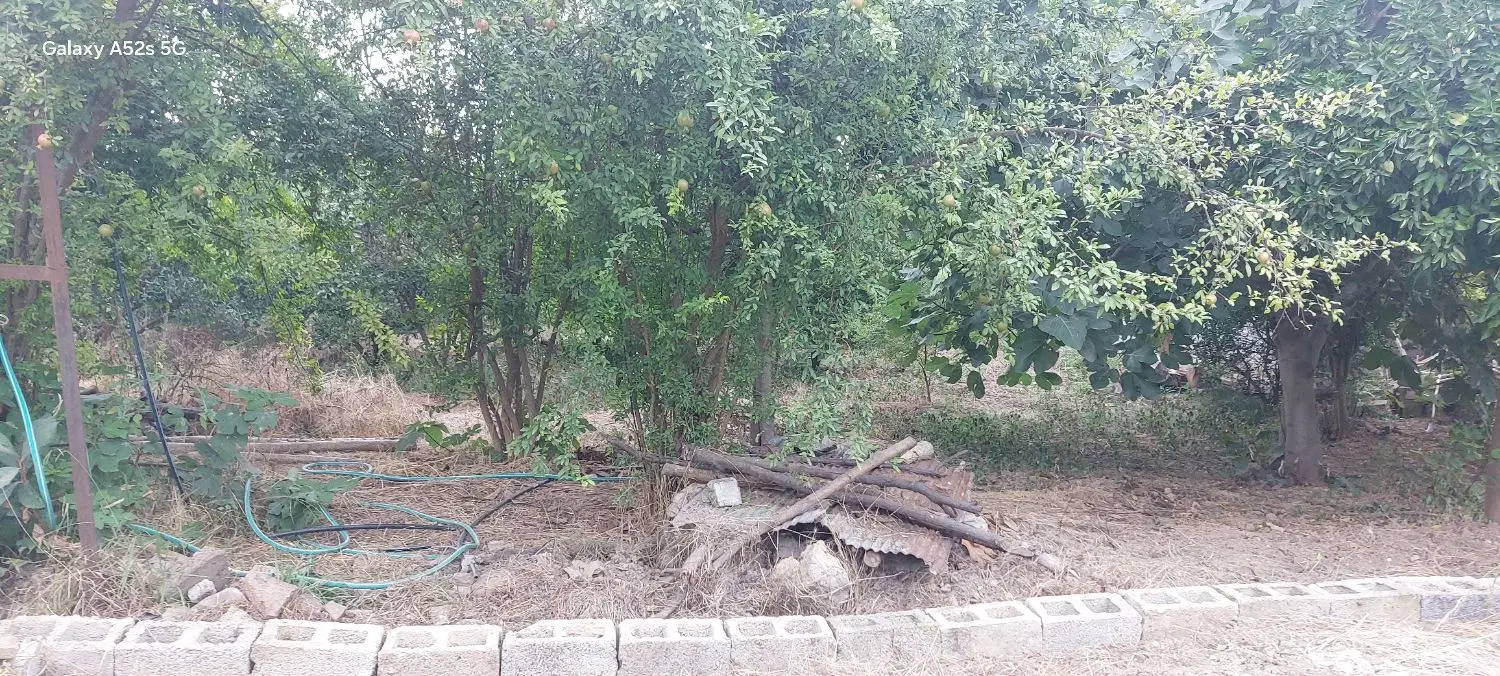 زمین فروشی مناسب برای ساخت ویلا