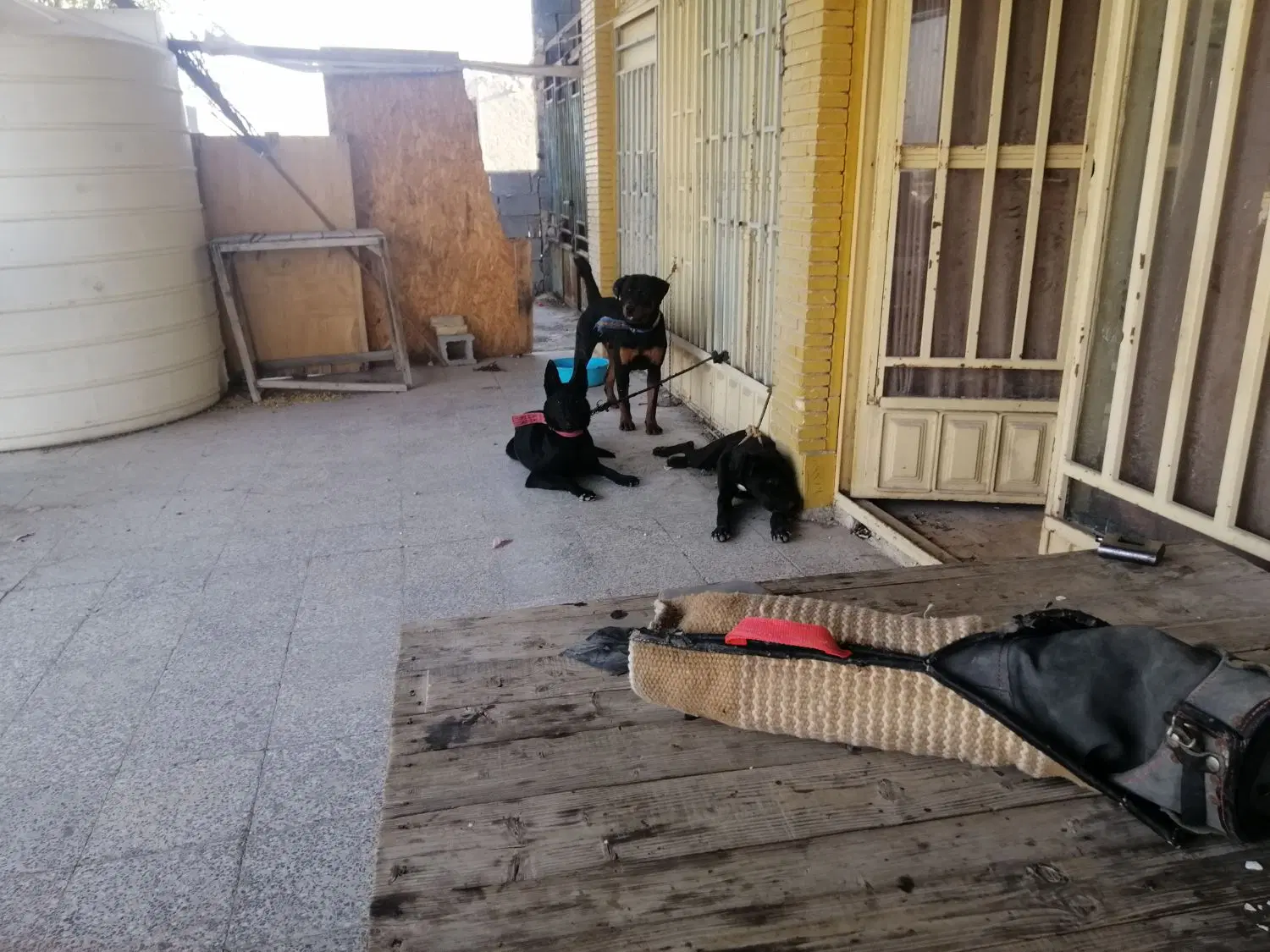 دوباب مغازه اجاره داده میشود