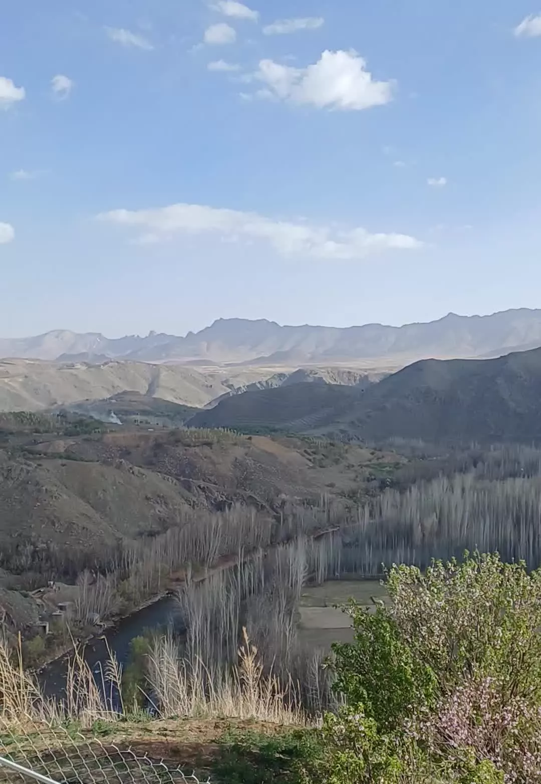یک باغ با نمای فوالعاده زیبا یه سوئیس کوچک