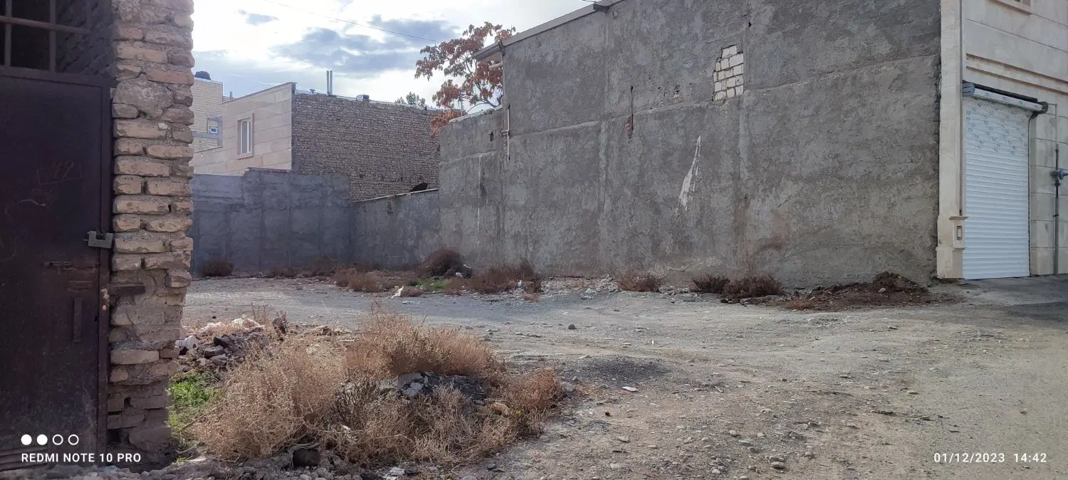 علی آباد گونه