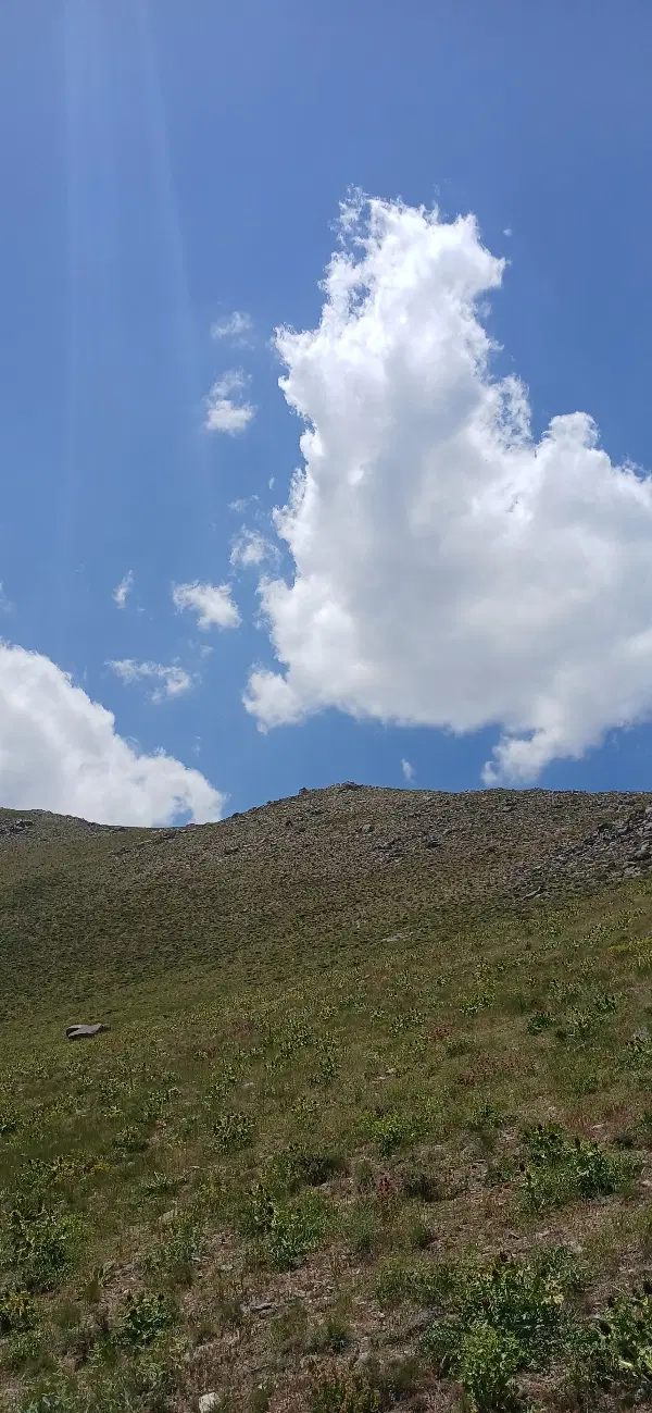 زمین باغی راه دار سولان