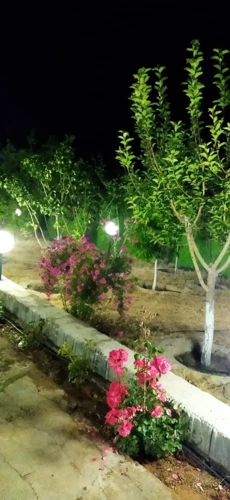 زمین توریستی گردشگری خدماتی