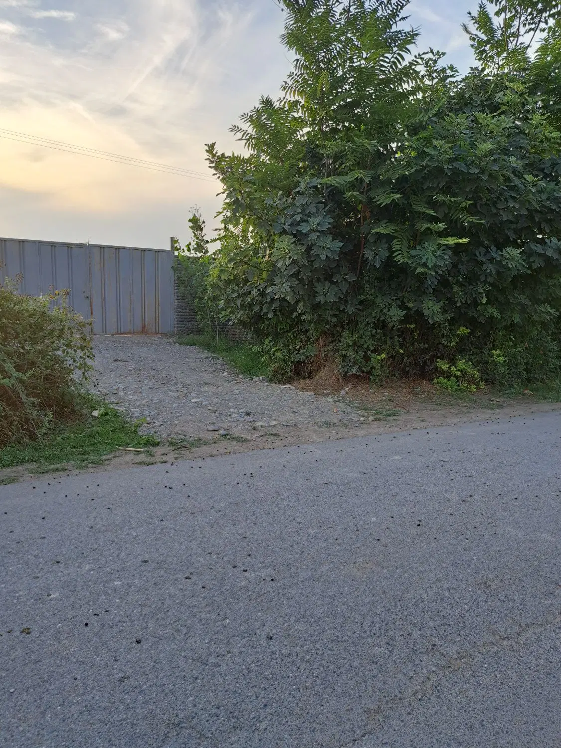 زمین فتحه باغ